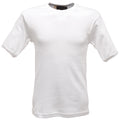 Blanc - Front - Regatta - T-shirt à manches courtes - Hommes