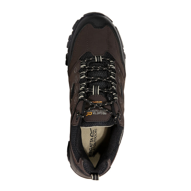 Marron foncé - Pack Shot - Regatta - Chaussures de randonnée HOLCOMBE - Homme