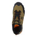 Beige foncé-orange vif - Lifestyle - Regatta - Chaussures de randonnée HOLCOMBE - Homme