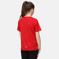 Rouge - Pack Shot - Regatta - T-shirt TORINO - Enfants