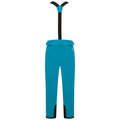 Bleu sarcelle foncé - Back - Dare 2B - Pantalon de ski ACHIEVE - Homme
