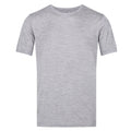 Gris rocheux chiné - Front - Regatta - T-shirt FINGAL EDITION - Homme