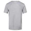 Gris rocheux chiné - Pack Shot - Regatta - T-shirt FINGAL EDITION - Homme