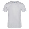 Gris argenté - Front - Regatta - T-shirt FINGAL EDITION - Homme