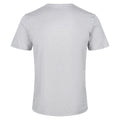 Gris argenté - Lifestyle - Regatta - T-shirt FINGAL EDITION - Homme