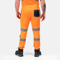 Orange - Bleu marine - Side - Regatta - Pantalon - Homme