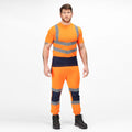Orange - Bleu marine - Lifestyle - Regatta - Pantalon - Homme