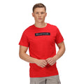 Rouge - Back - Regatta - T-shirt CLINE - Homme