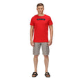 Rouge - Lifestyle - Regatta - T-shirt CLINE - Homme