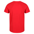 Rouge - Pack Shot - Regatta - T-shirt CLINE - Homme