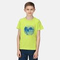 Vert kaki clair - Back - Regatta - T-shirt BOSLEY - Enfant