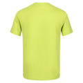 Vert kaki clair - Pack Shot - Regatta - T-shirt BOSLEY - Enfant