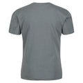 Vert de gris - Pack Shot - Regatta - T-shirt BOSLEY - Enfant