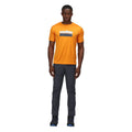 Orange - Back - Regatta - T-shirt FINGAL - Homme