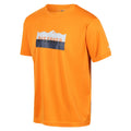 Orange - Pack Shot - Regatta - T-shirt FINGAL - Homme