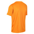 Orange - Close up - Regatta - T-shirt FINGAL - Homme