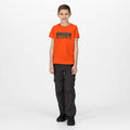 Orange vif - Back - Regatta - T-shirt BOSLEY - Enfant