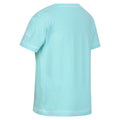Bleu ciel - Pack Shot - Regatta - T-shirt - Enfant