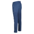 Bleu amiral - Side - Regatta - Pantalon de randonnée QUESTRA - Homme