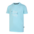 Bleu - Front - Dare 2B - T-shirt AMUSE - Enfant