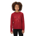 Rouge foncé - Lifestyle - Regatta - T-shirt BURNLEE - Enfant