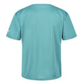 Jade bleu - Back - Regatta - T-shirt ALVARADO - Enfant