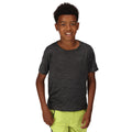 Gris phoque - Pack Shot - Regatta - T-shirt FINGAL EDITION - Enfant