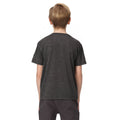 Gris phoque - Lifestyle - Regatta - T-shirt FINDLEY - Enfant