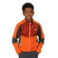 Orange flamboyant - Gris phoque - Pack Shot - Regatta - Veste polaire OBERON - Enfant