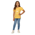 Jaune ambre - Pack Shot - Regatta - T-shirt BOSLEY - Enfant