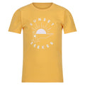 Jaune ambre - Front - Regatta - T-shirt BOSLEY - Enfant
