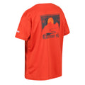 Rouge orangé - Lifestyle - Regatta - T-shirt ALVARADO - Enfant