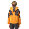 Orange - Gris phoque - Pack Shot - Regatta - Veste softshell HAYDENBURY - Enfant