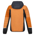 Orange clair - Gris phoque - Back - Regatta - Veste à capuche TRUTTON - Femme