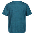 Bleu sarcelle foncé - Back - Regatta - T-shirt FINDLEY KEEP GOING - Enfant