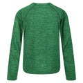 Vert des champs - Back - Regatta - T-shirt BURNLEE ROAM FREE - Enfant