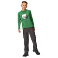 Vert des champs - Pack Shot - Regatta - T-shirt BURNLEE ROAM FREE - Enfant