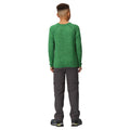 Vert des champs - Close up - Regatta - T-shirt BURNLEE ROAM FREE - Enfant