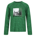 Vert des champs - Front - Regatta - T-shirt BURNLEE ROAM FREE - Enfant