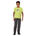 Vert algue - Lifestyle - Regatta - T-shirt ALVARADO - Enfant