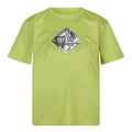 Vert algue - Front - Regatta - T-shirt ALVARADO - Enfant