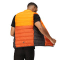 Orange - Orange brûlé - Pack Shot - Regatta - Veste sans manches HARROCK - Homme