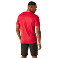Rouge danger - Pack Shot - Regatta - T-shirt FINGAL - Homme