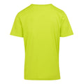 Jaune verdâtre - Back - Regatta - T-shirt FINGAL - Homme