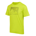 Jaune verdâtre - Side - Regatta - T-shirt FINGAL - Homme