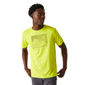 Jaune verdâtre - Pack Shot - Regatta - T-shirt FINGAL - Homme