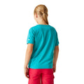 Bleu tahoe - Pack Shot - Regatta - T-shirt ALVARDO - Enfant