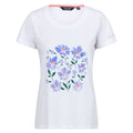 Blanc - Front - Regatta - T-shirt FILANDRA - Femme