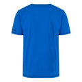 Bleu Oxford - Back - Regatta - T-shirt RAYONNER - Homme