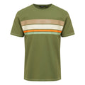 Olive - Front - Regatta - T-shirt RAYONNER - Homme